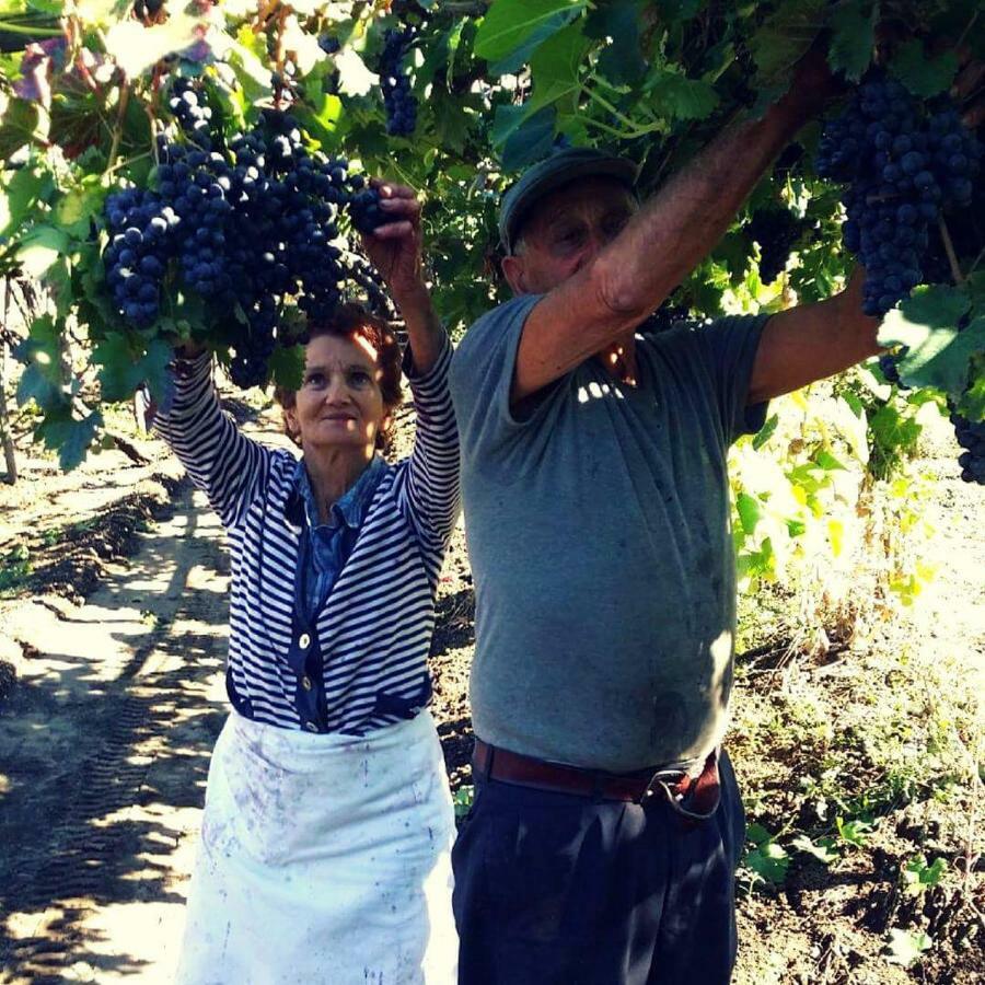 Agriturismo A Do' Cumparone Corbara  Bagian luar foto