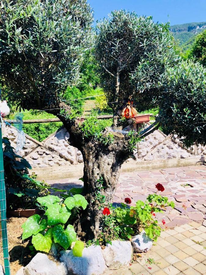 Agriturismo A Do' Cumparone Corbara  Bagian luar foto